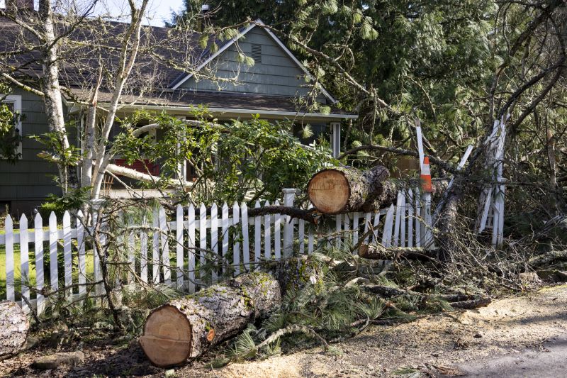 Dead Tree Removal in Bucks County, PA