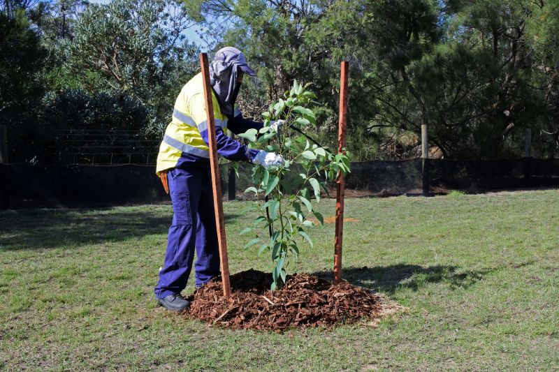 Tree Staking Service detail